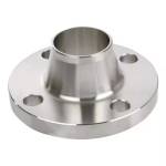 Stainless Steel Flange – Durable Welding Connection with 2-Year Warranty Manufacturers, Suppliers in Dalkhola